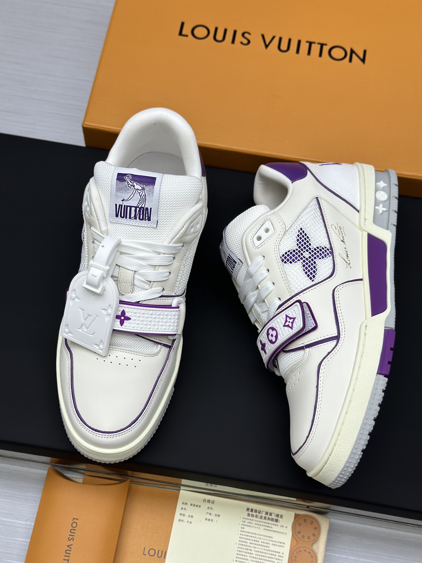 Louis Vuitton Shoes