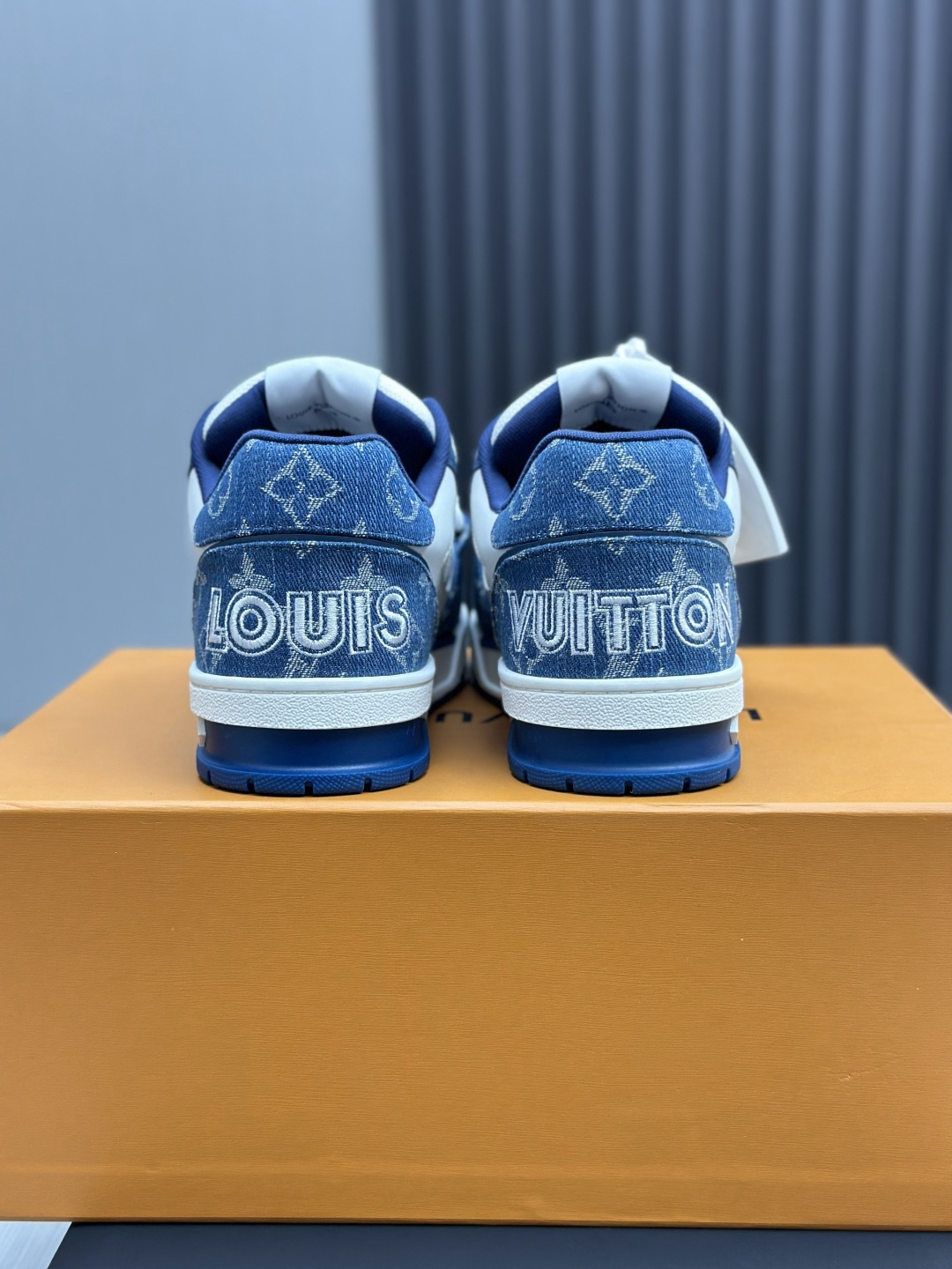 Louis Vuitton Shoes