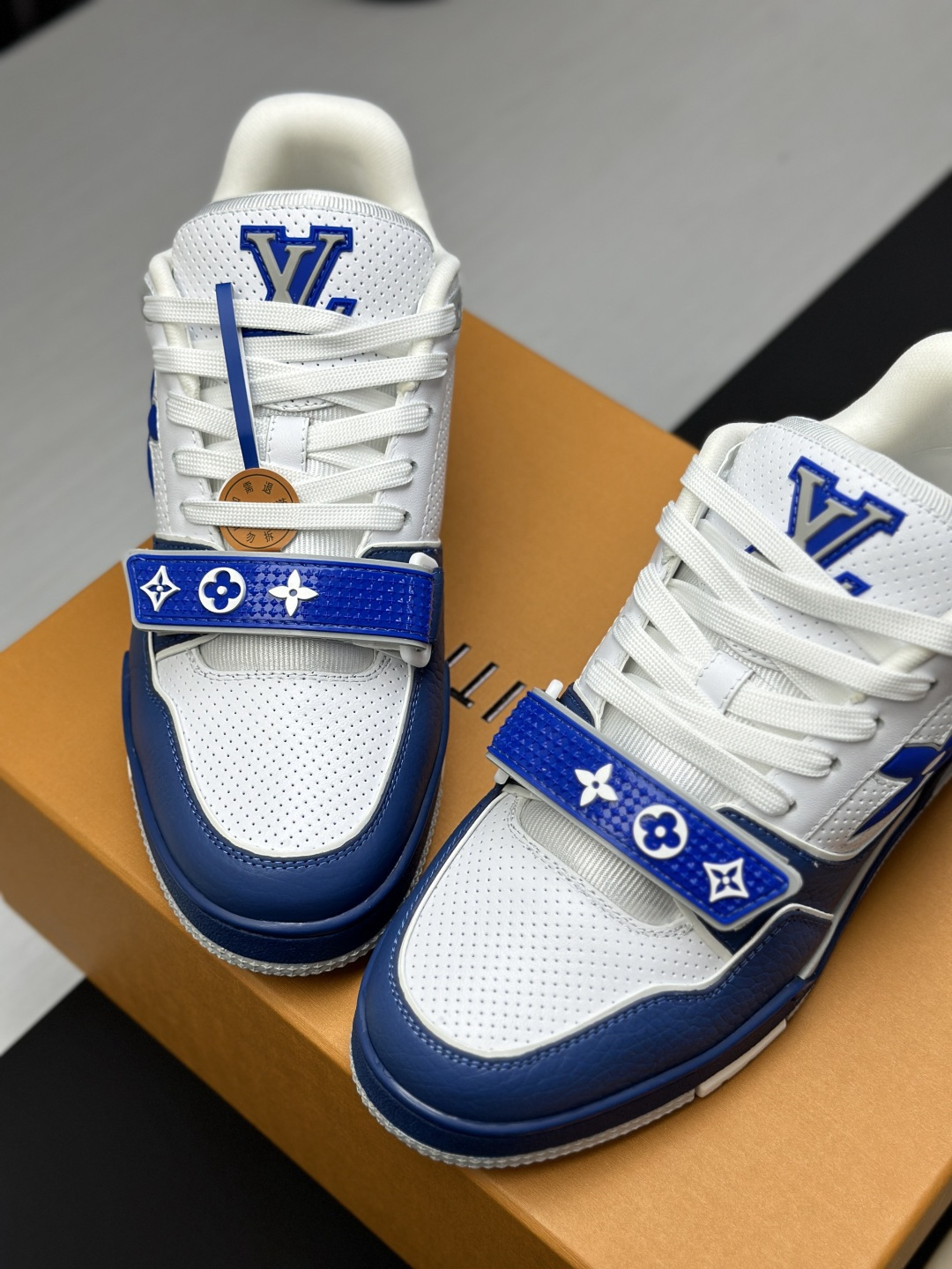 Louis Vuitton Shoes