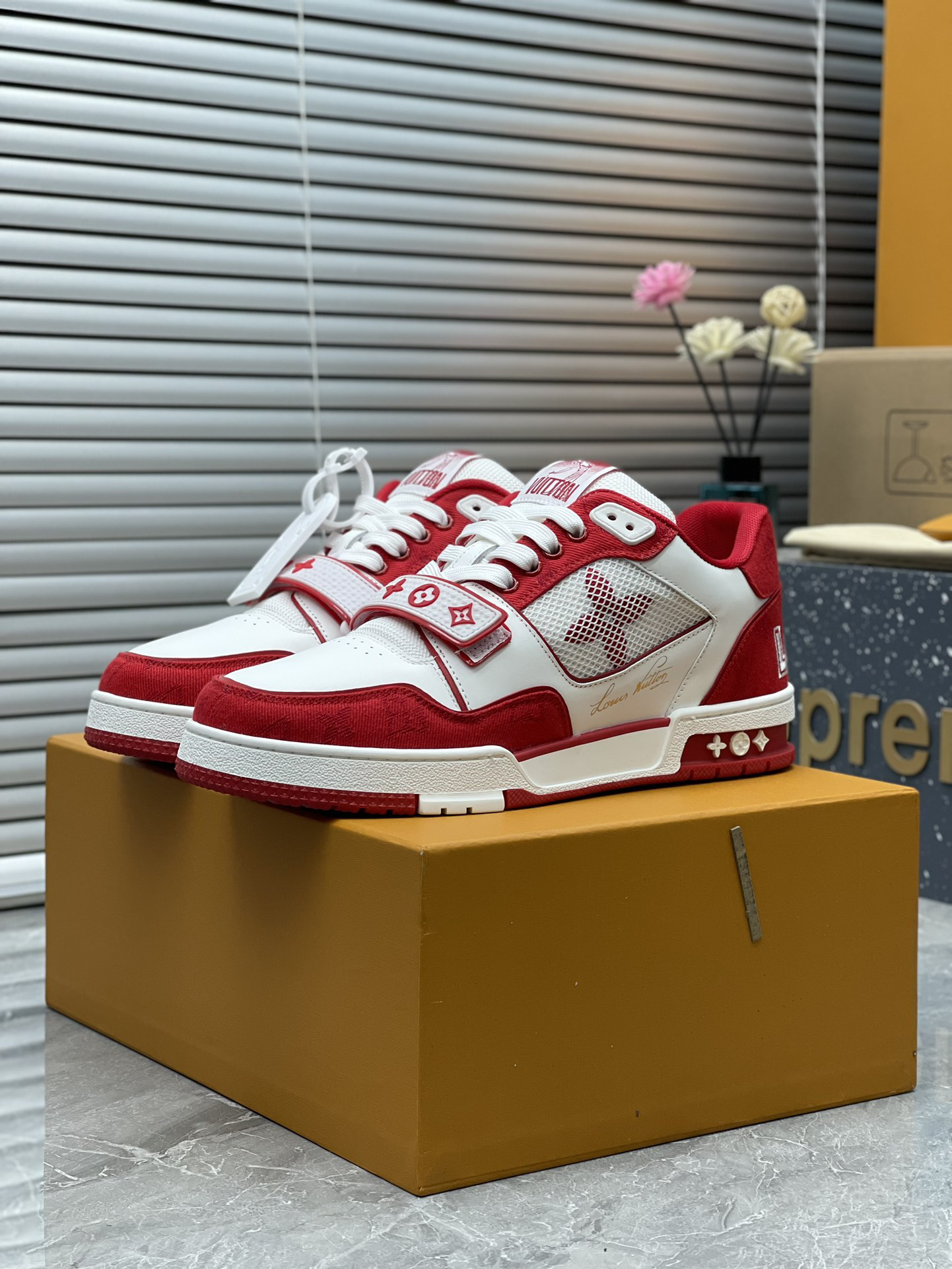 Louis Vuitton Shoes