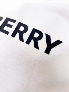 Burberry Hoodie