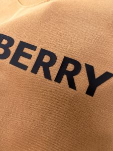 Burberry Hoodie