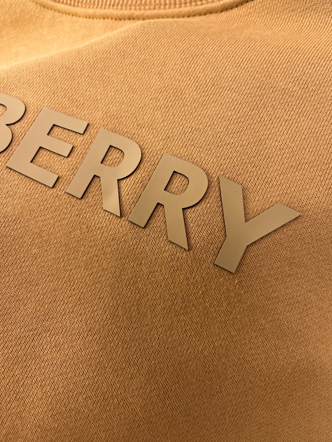 Burberry Hoodie