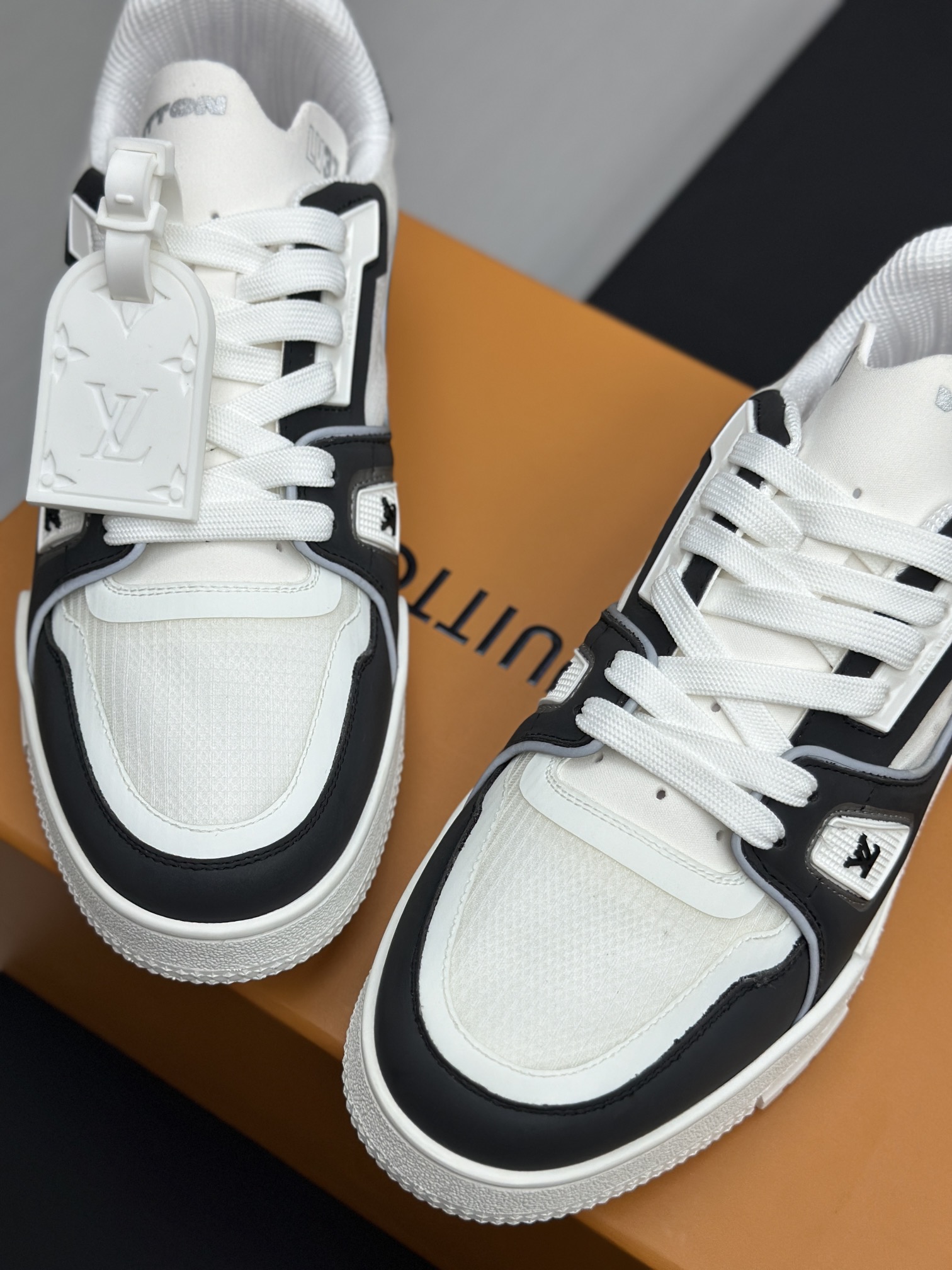 Louis Vuitton Sneakers