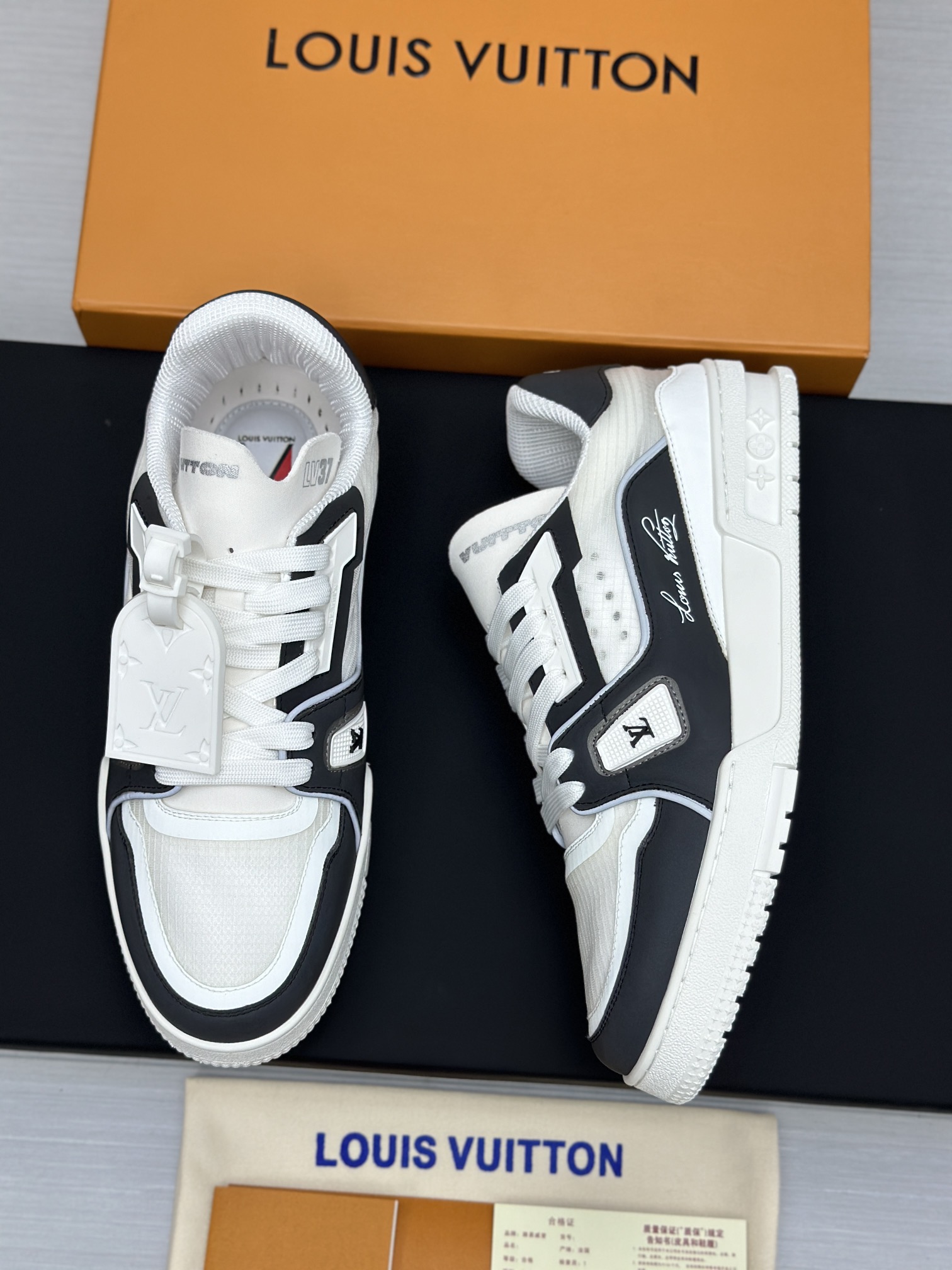 Louis Vuitton Sneakers