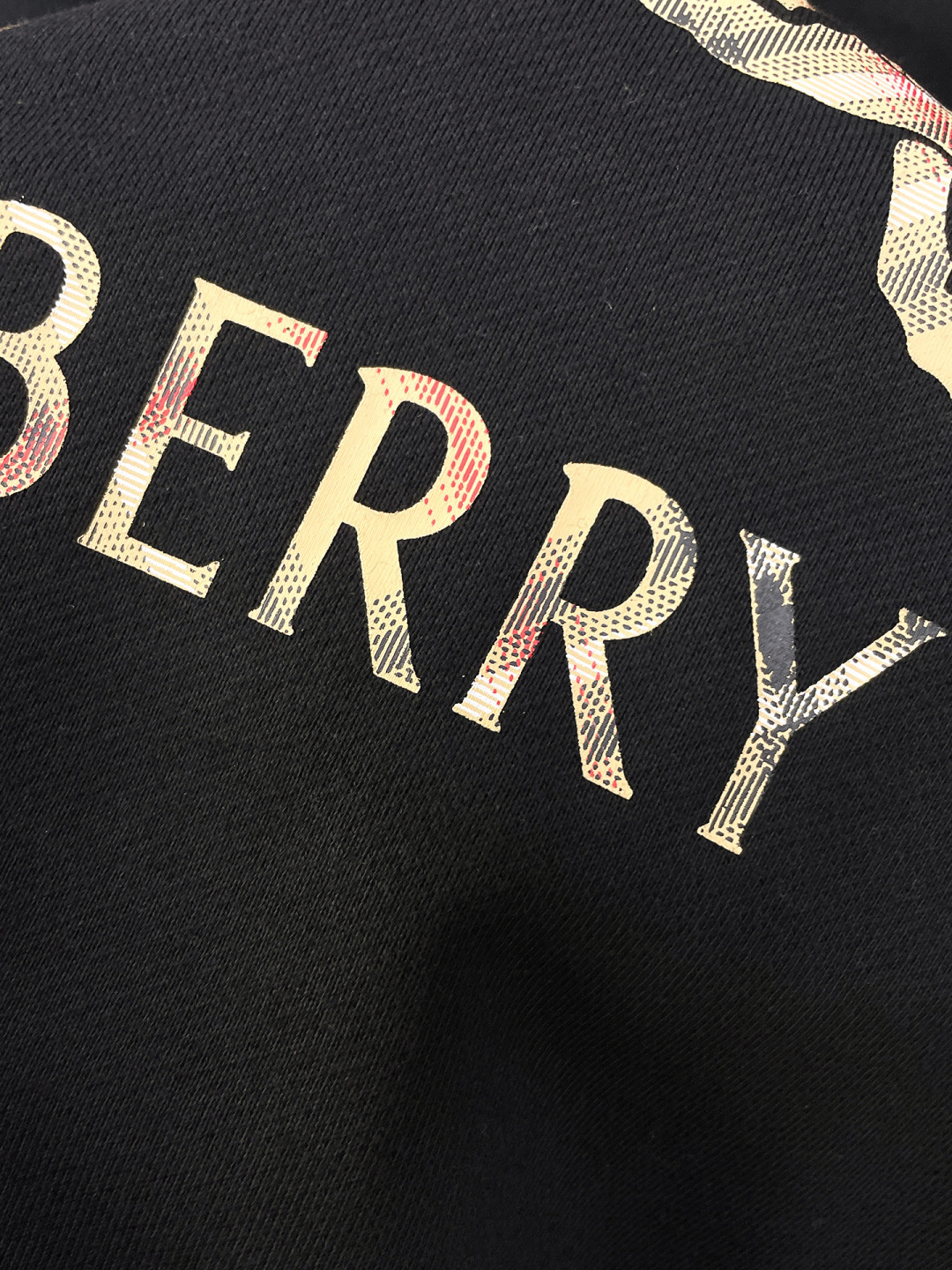 Burberry Hoodie