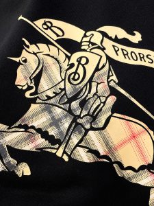 Burberry Hoodie