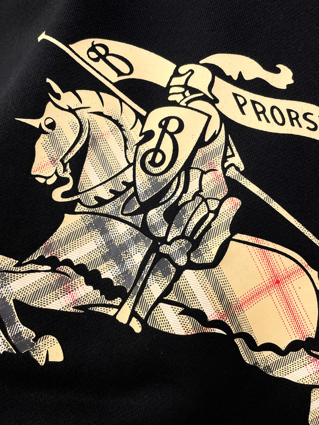 Burberry Hoodie