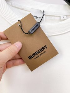 Burberry Hoodie