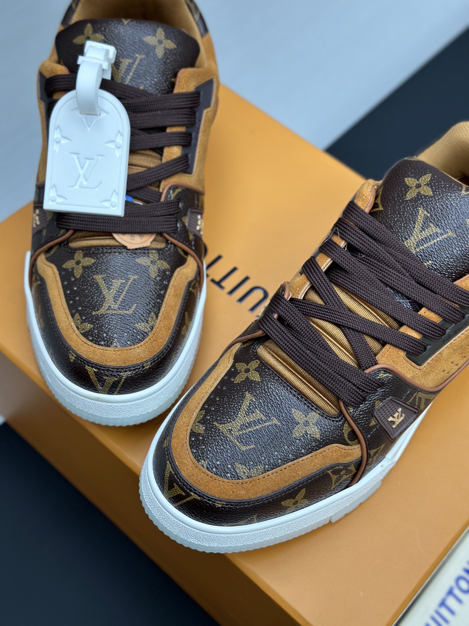Louis Vuitton Sneakers