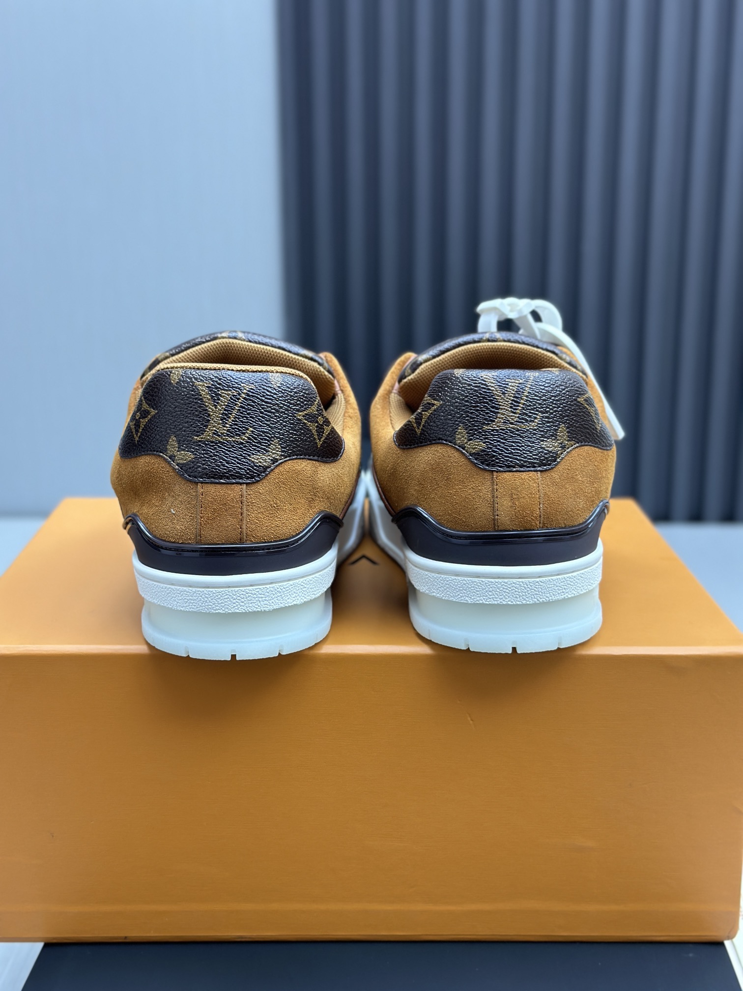 Louis Vuitton Sneakers