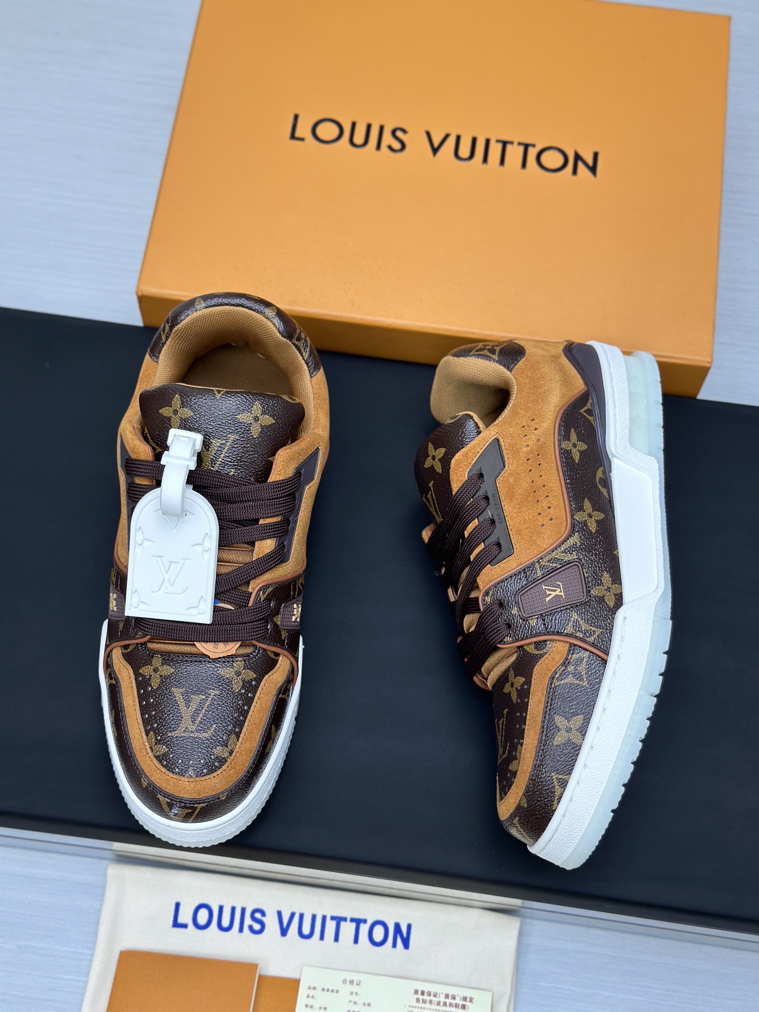 Louis Vuitton Sneakers