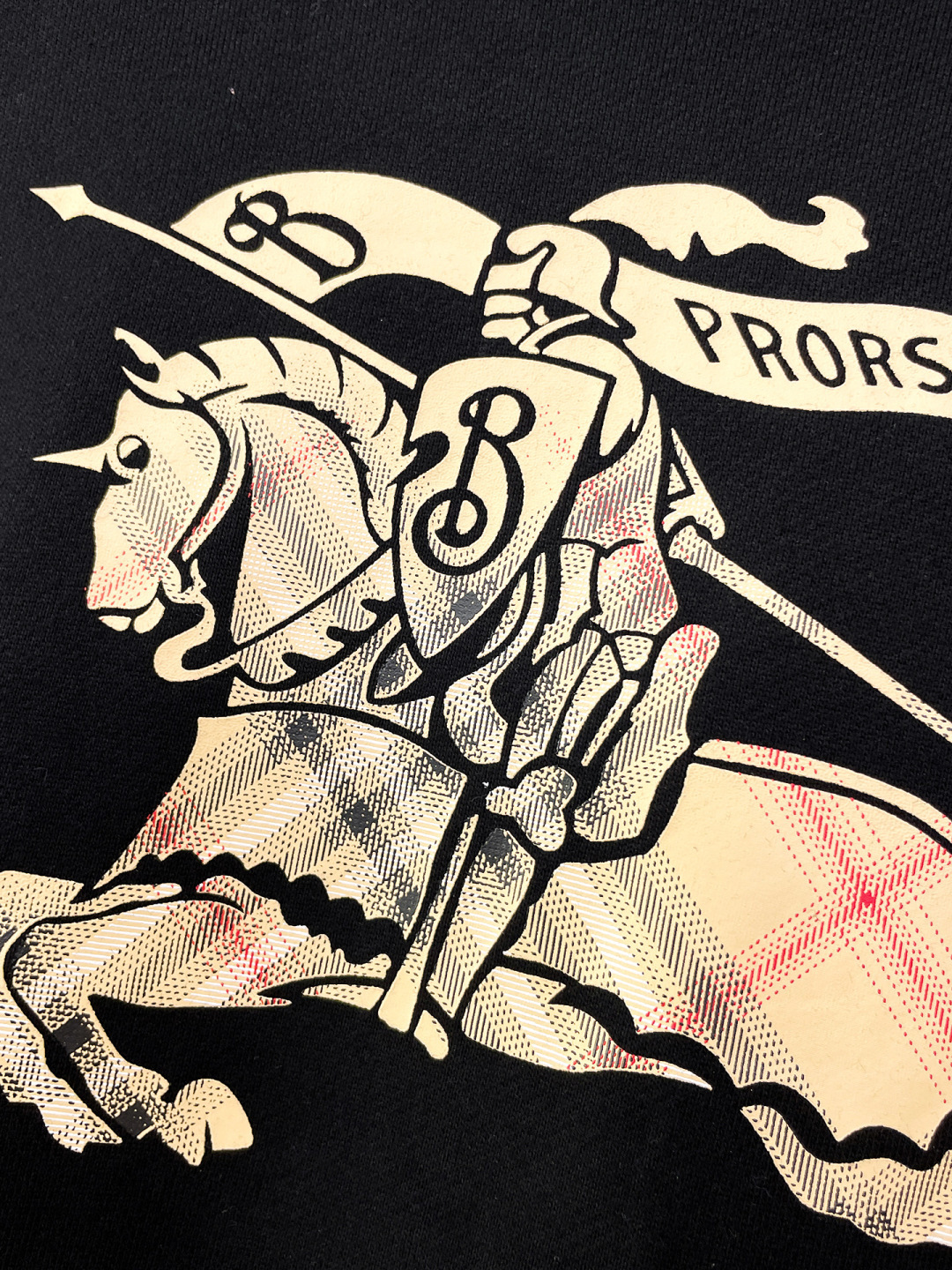 Burberry Hoodie