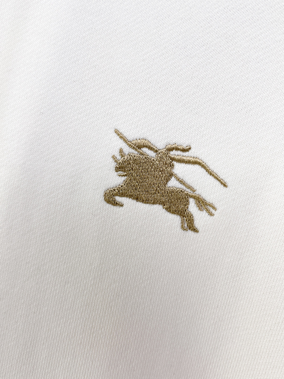 Burberry Hoodie