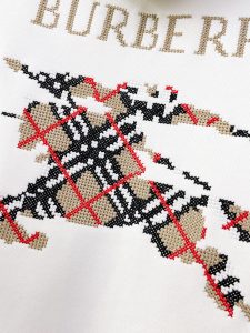 Burberry Hoodie