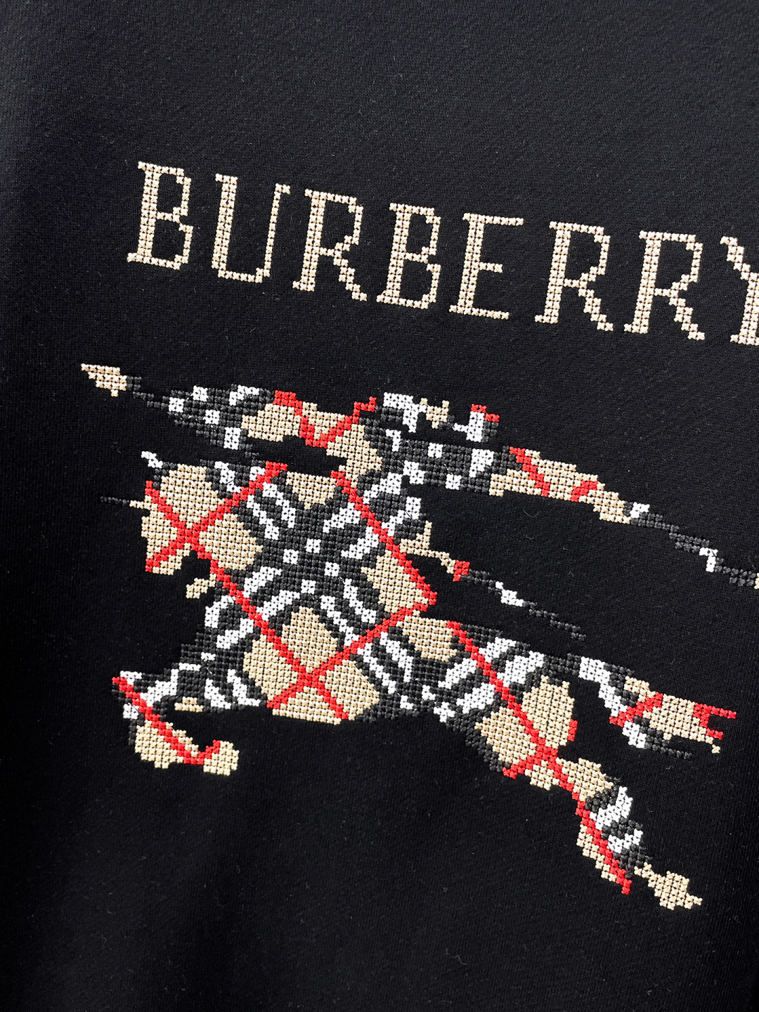 Burberry Hoodie