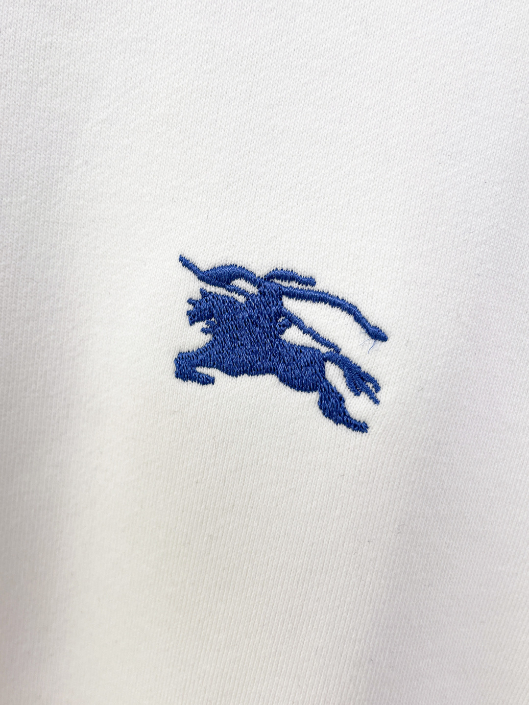 Burberry Hoodie