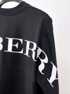 Burberry Hoodie