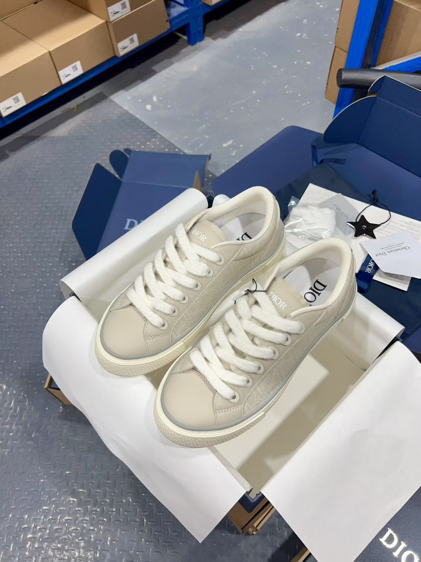 Dior Sneakers