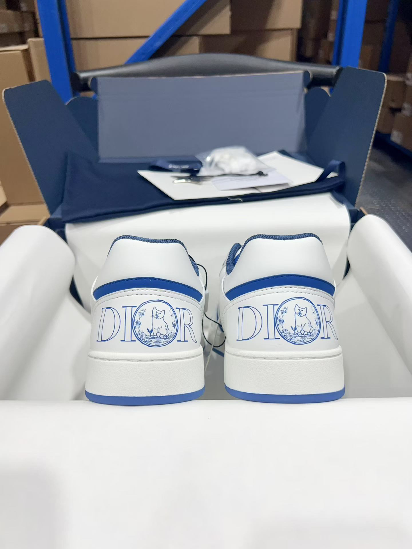 Dior Sneakers