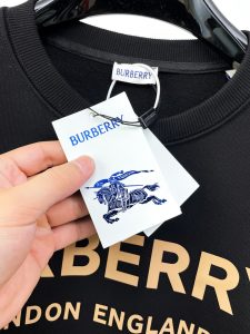 Burberry Hoodie