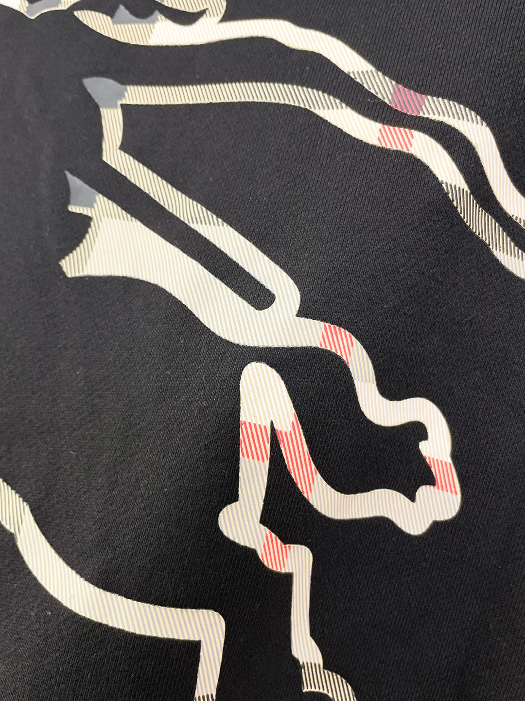 Burberry Hoodie