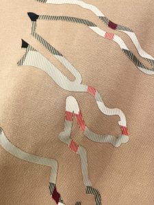 Burberry Hoodie