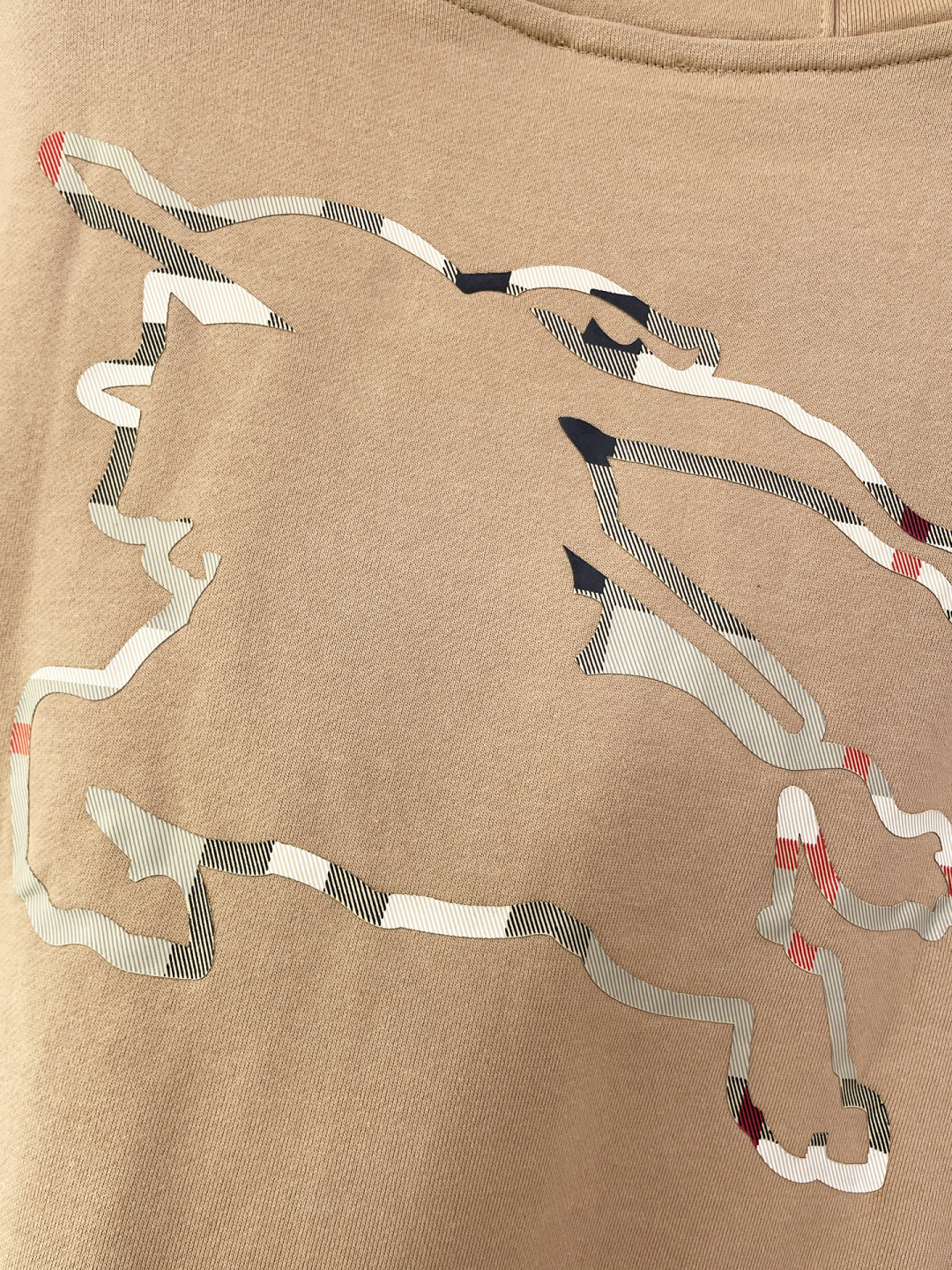 Burberry Hoodie