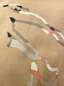 Burberry Hoodie