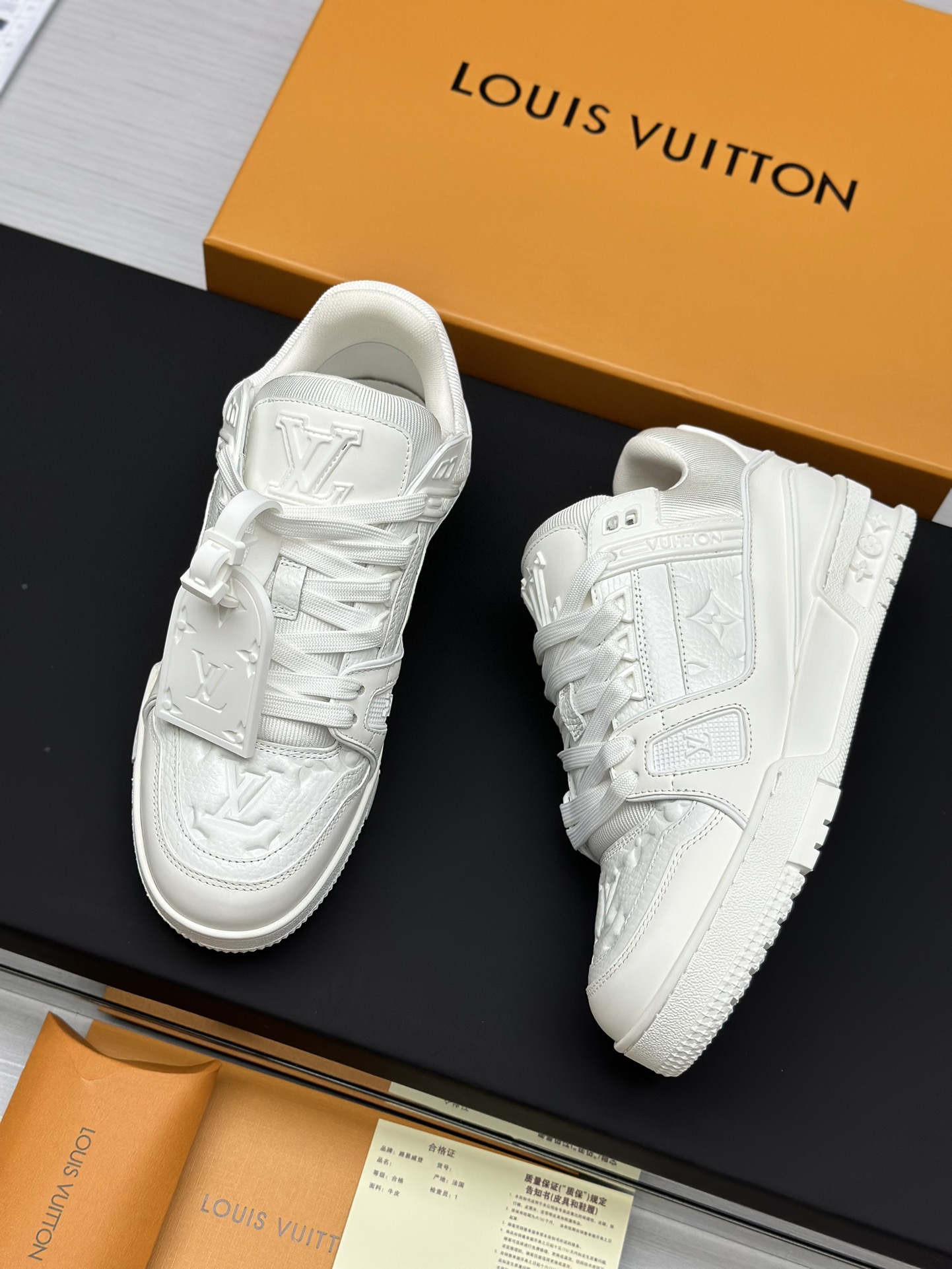 Louis Vuitton Sneakers