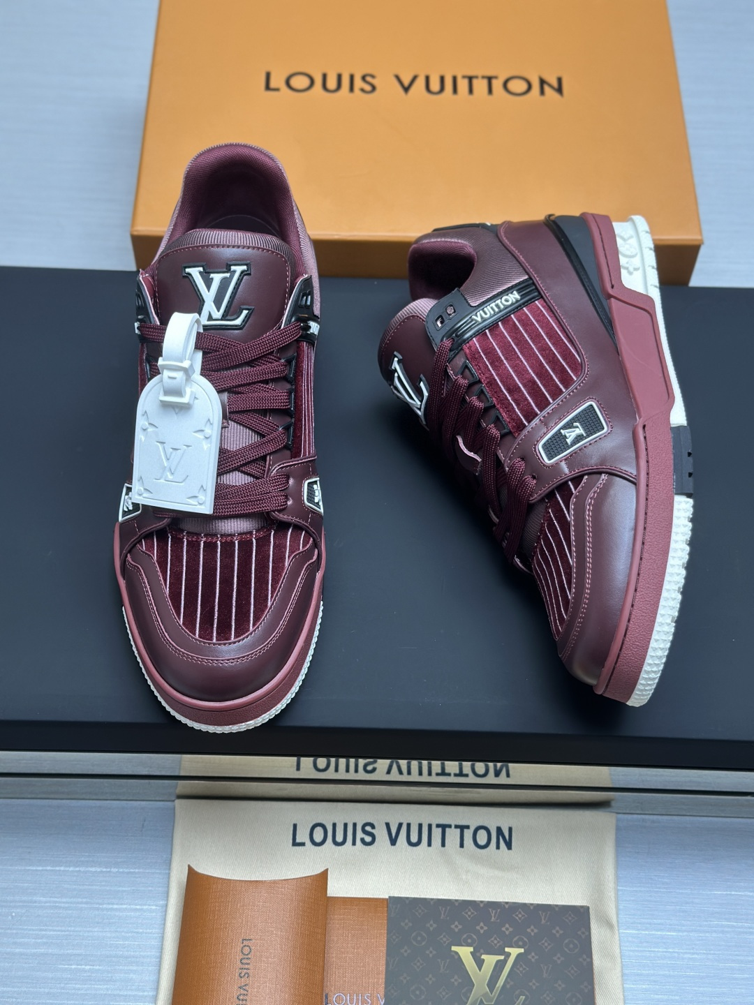 Louis Vuitton Sneakers