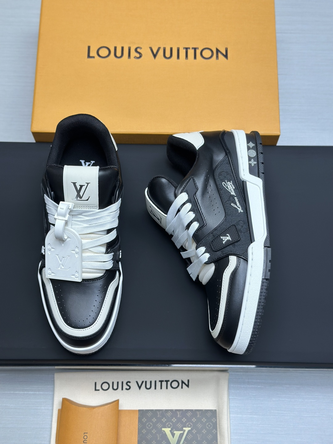 Louis Vuitton Sneakers