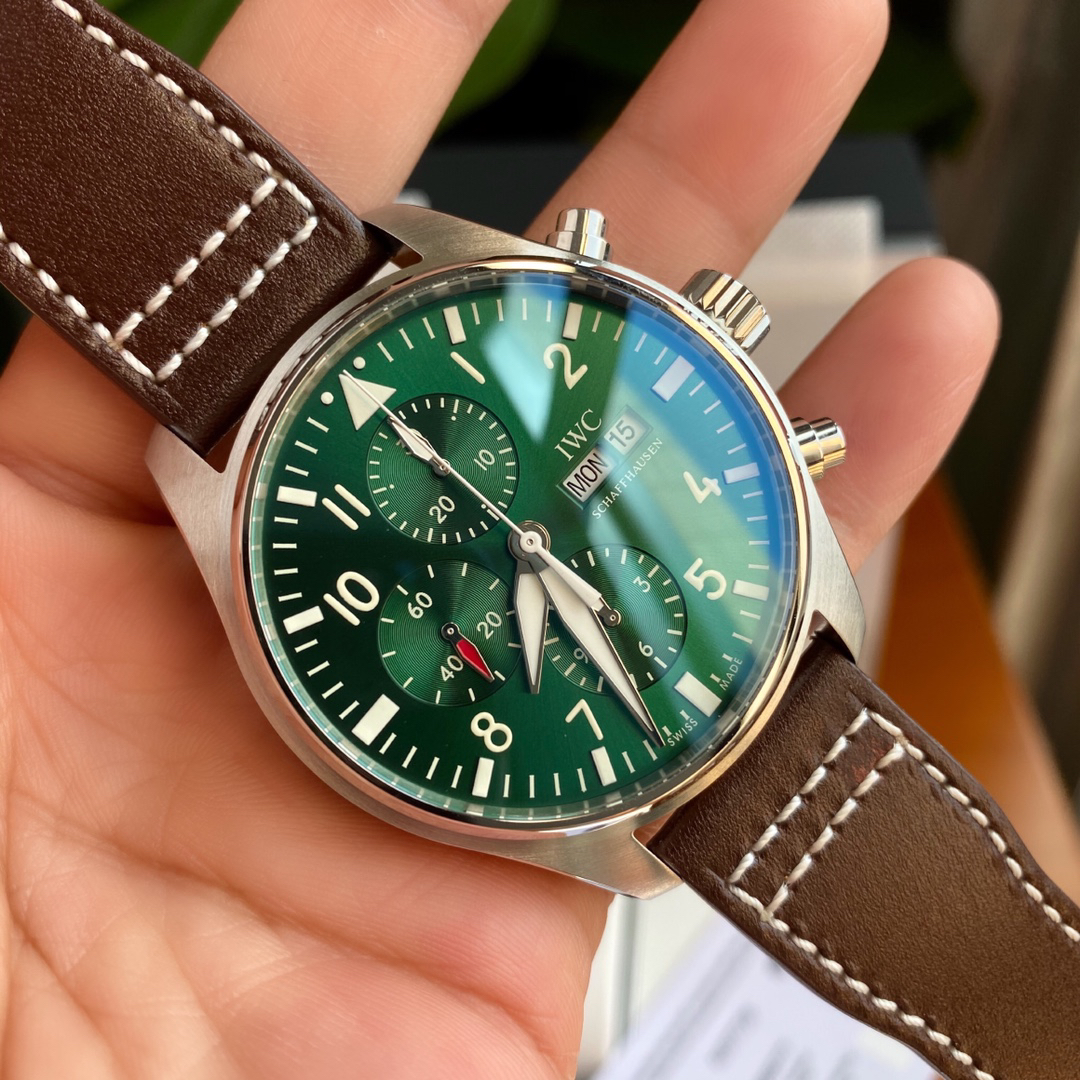 null Watch IW377726