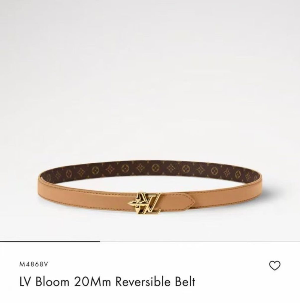 Belt - view 1