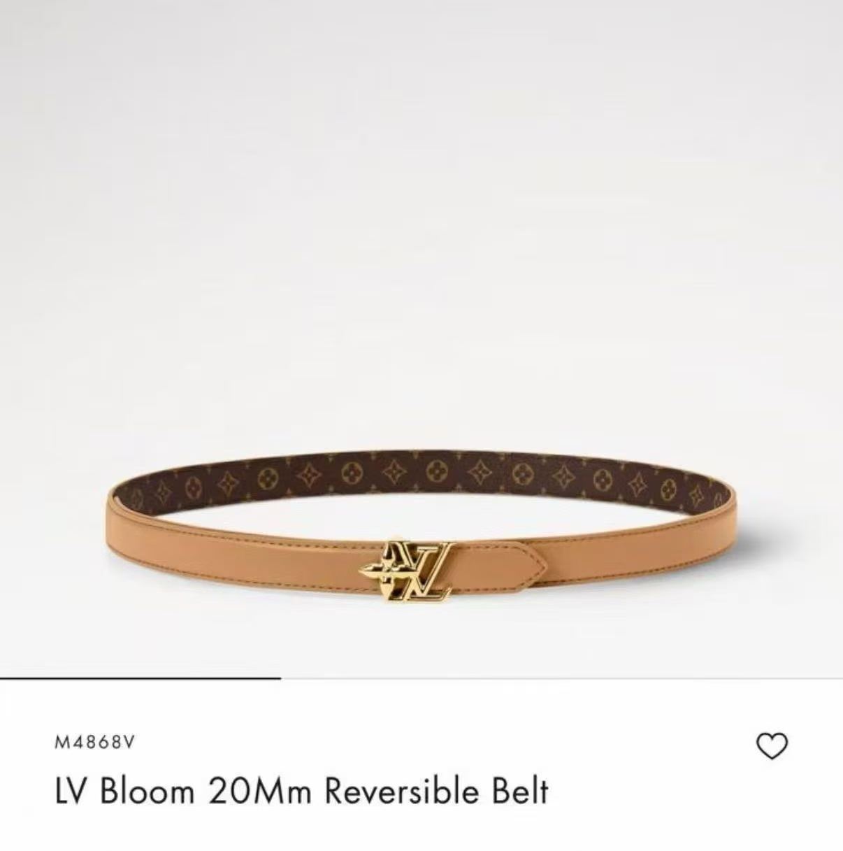 Belt - view 1