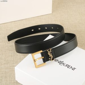 Belt - view 5