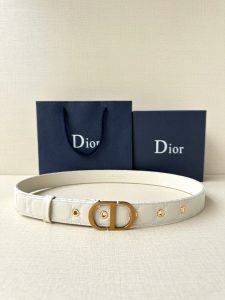 Belt - view 2