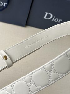 Belt - view 4