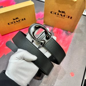 Coach Belt - view 2
