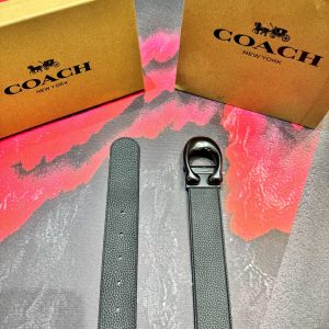 Coach Belt - view 6