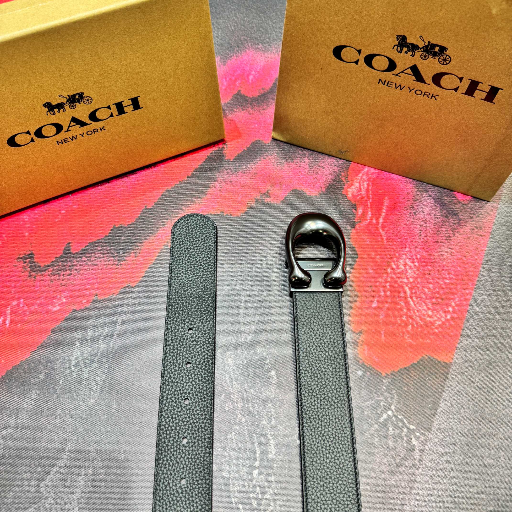 Coach Belt - view 6