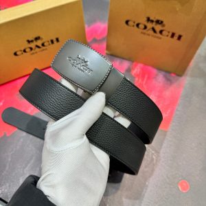 Coach Belt - view 2