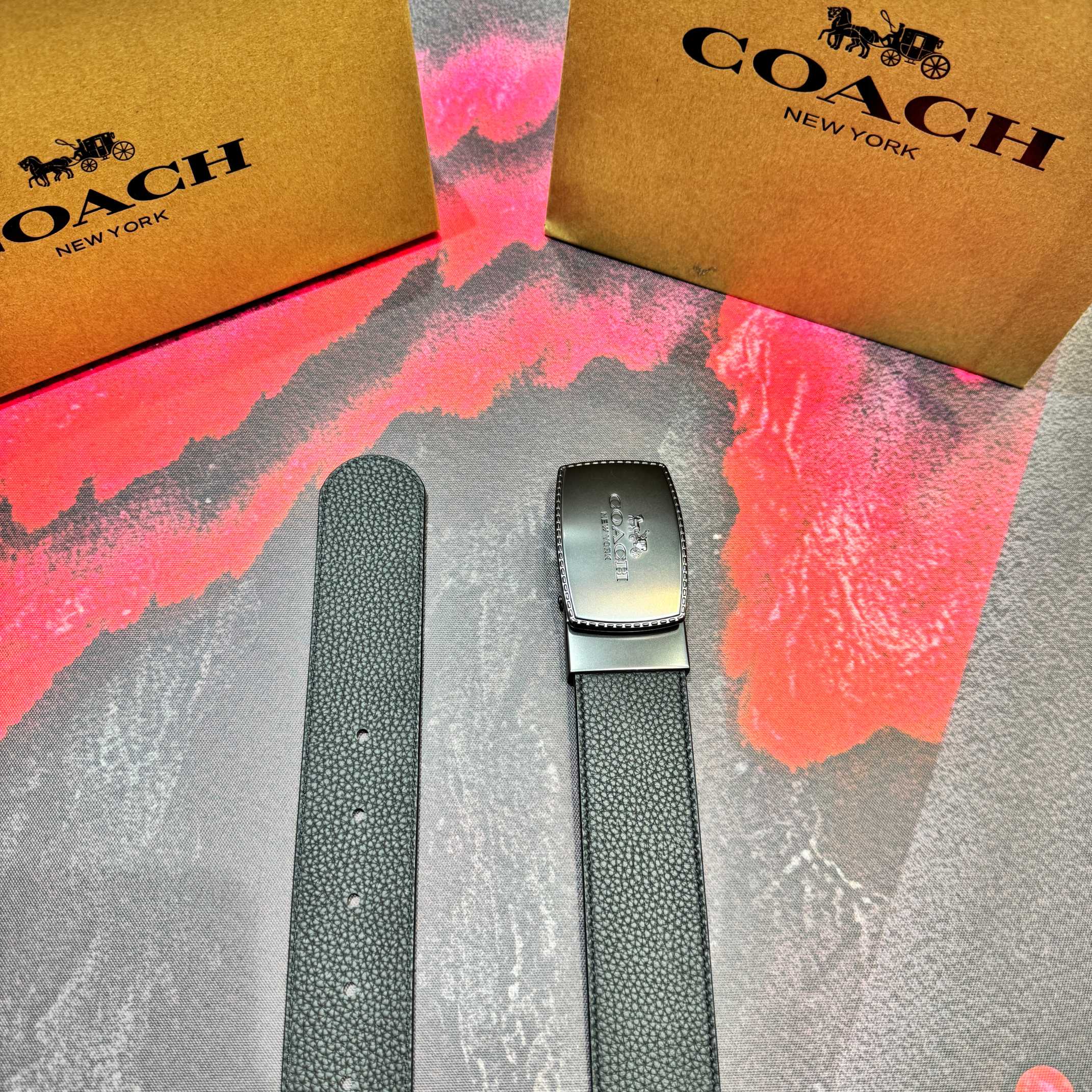Coach Belt - view 6