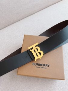 Burberry Belt - view 4
