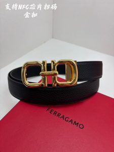 Belt - view 2