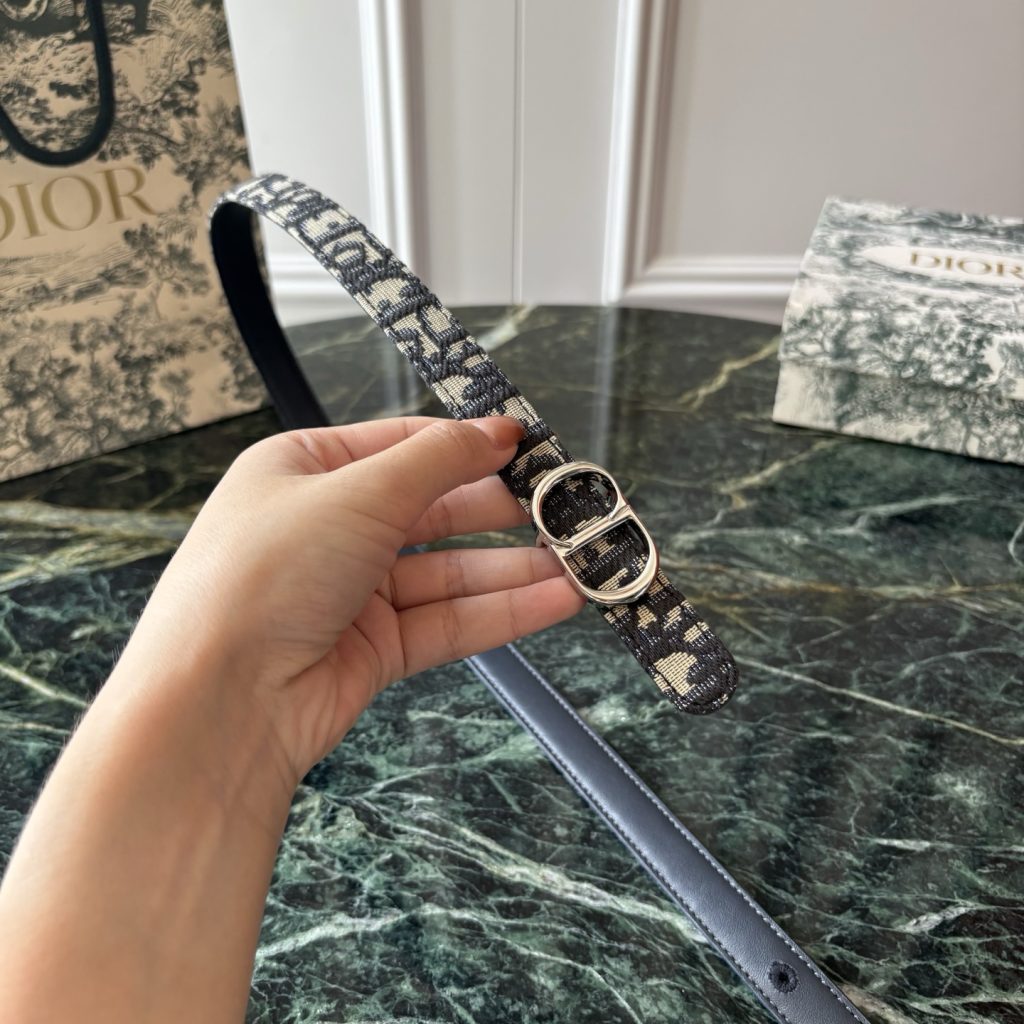 Dior Belt - view 1