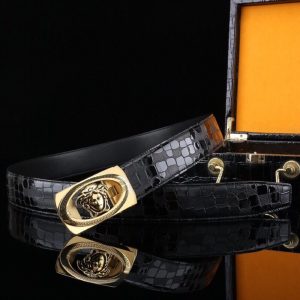 Belt - view 2