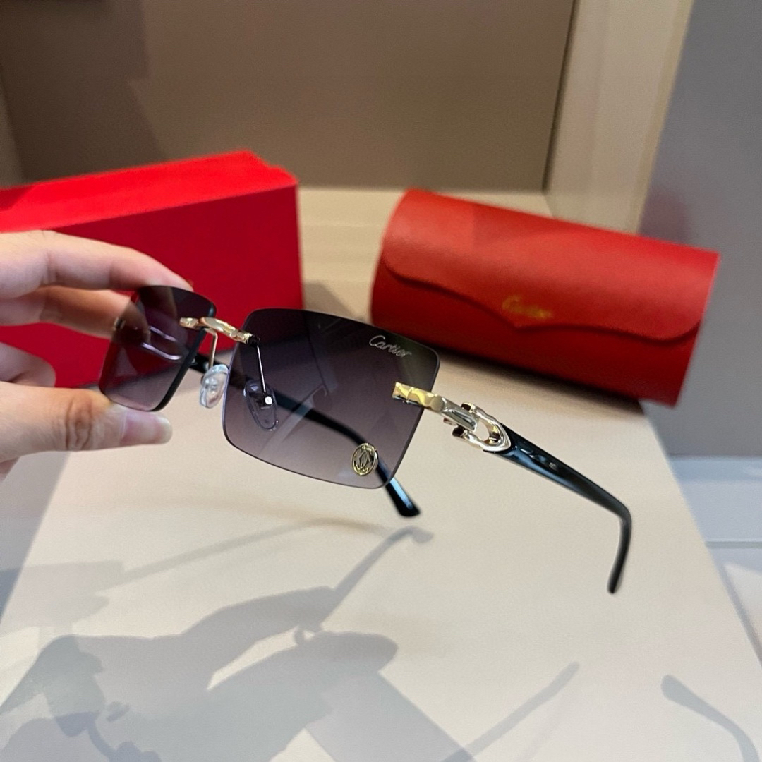Cartier Sunglasses - view 4