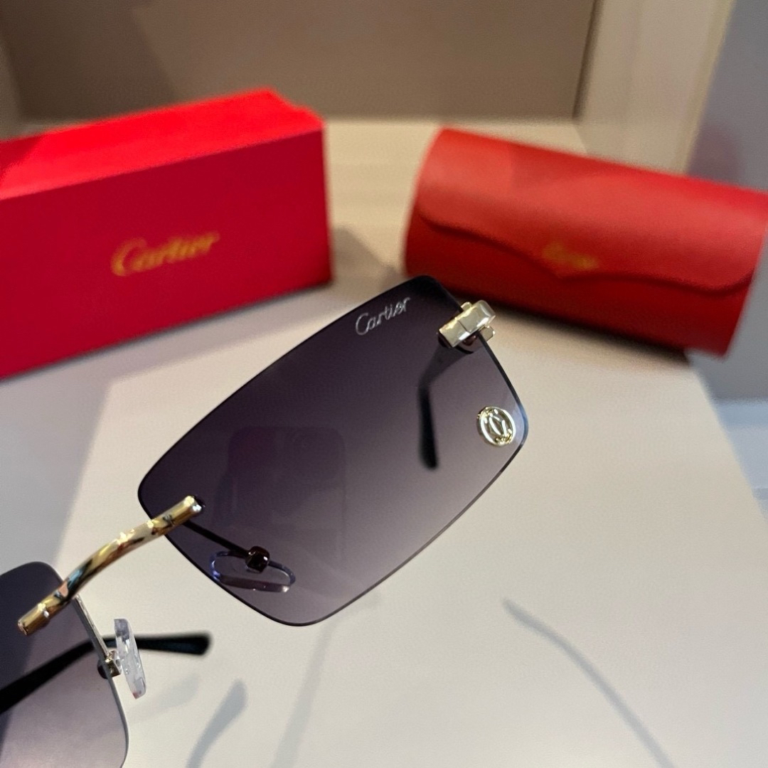 Cartier Sunglasses - view 5
