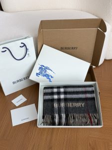 Burberry Shawl - view 6